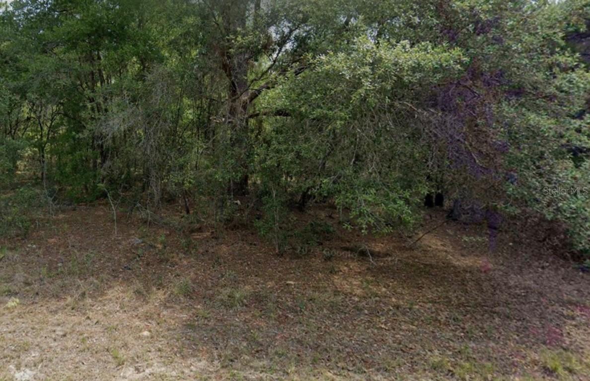 2396 W Magenta Dr., Citrus Springs, FL 34434