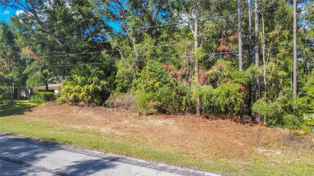 10157 N Athenia Dr., Citrus Springs, FL 34434