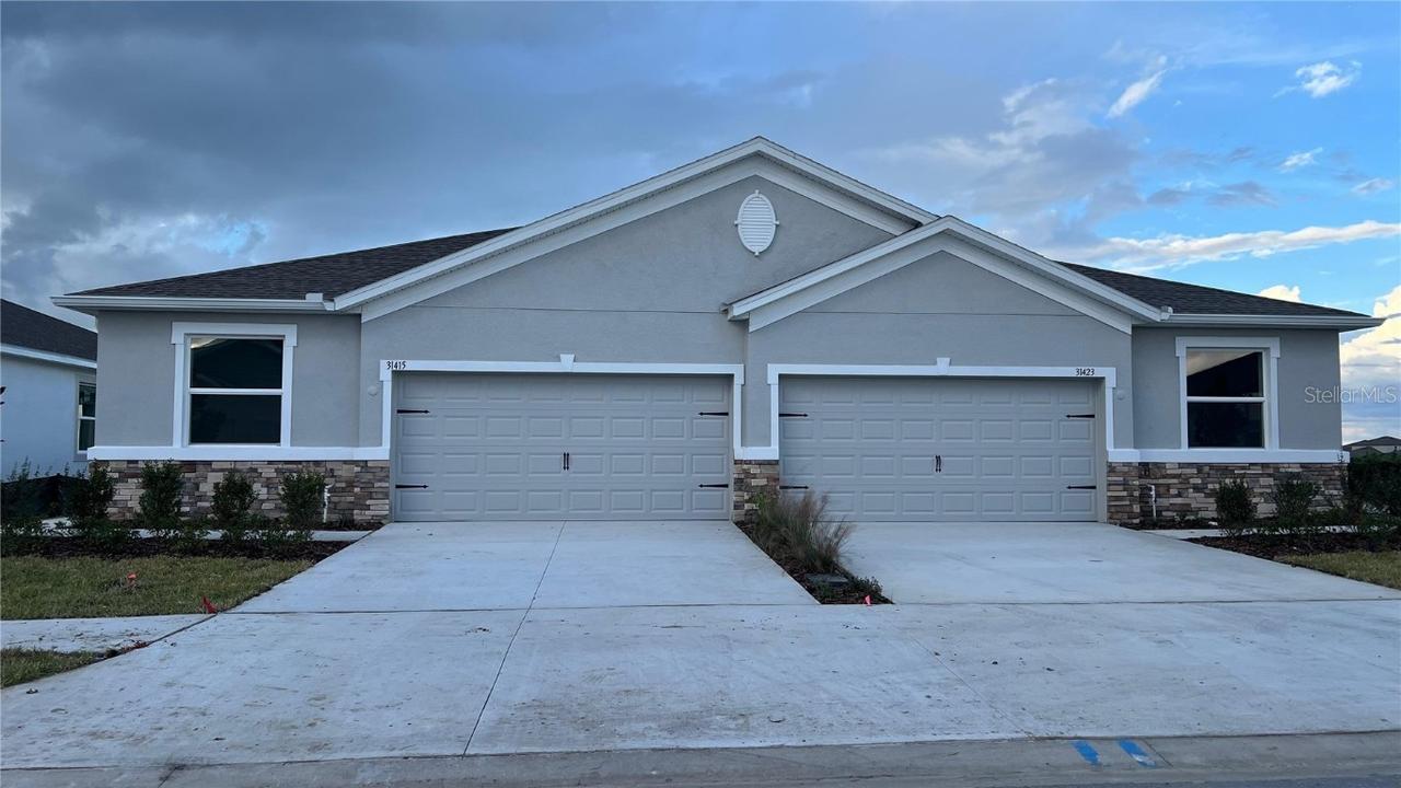 31415 Paper Birch Street, Wesley Chapel, FL 33545