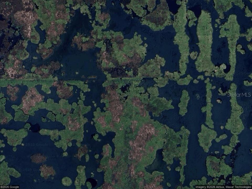 462 Emerald Grove Dr., Apopka, FL 32703