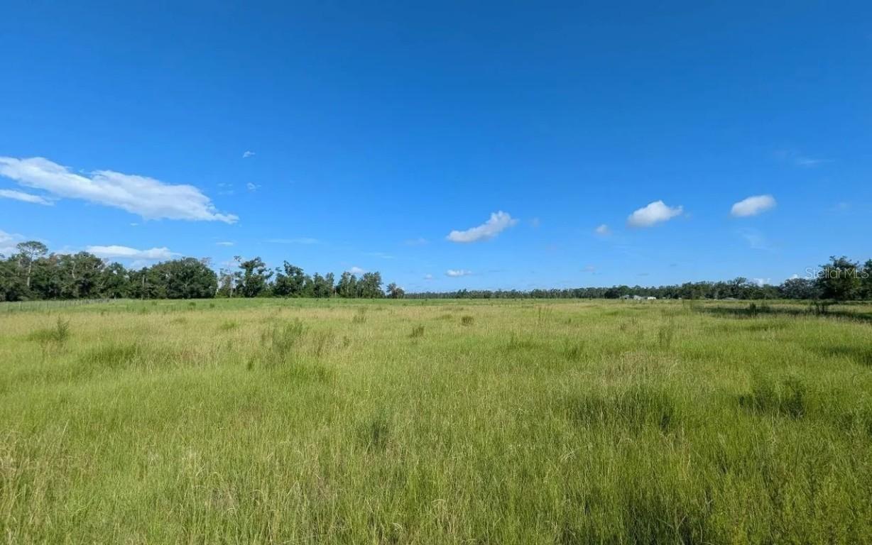 136 St., Live Oak, FL 32060