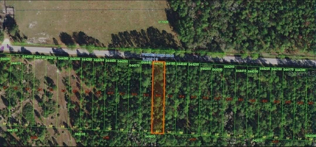 Poyner Oaks Rd., Polk City, FL 33868