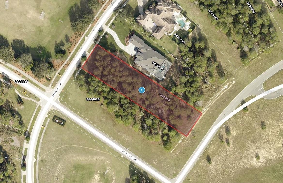 15000 Pendio Dr., Montverde, FL 34756