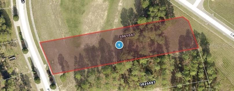 16404 Pendio Dr., Montverde, FL 34756