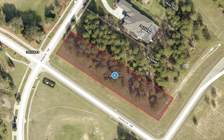 14996 Pendio Dr., Montverde, FL 34756