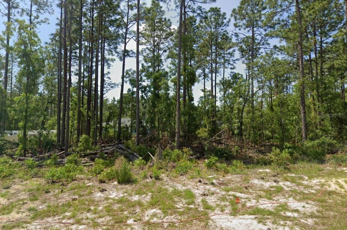 139 St, Ocala, FL 34473