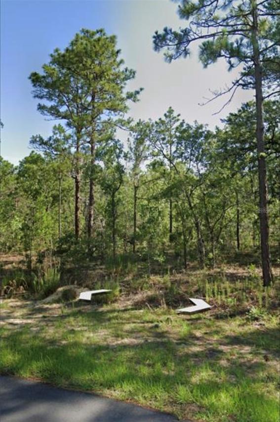 1918 Cr 243 C, Wildwood, FL 34785