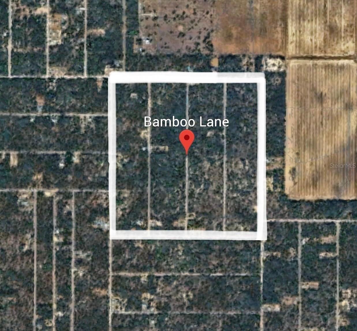 Bamboo Lane, Dunnellon, FL 34431