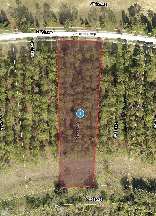 16748 Artimino Loop, Montverde, FL 34756