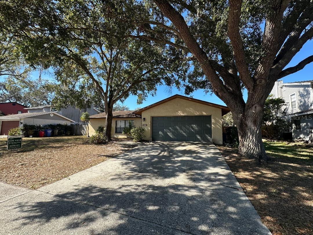 4305 Ellenville Pl., Valrico, FL 33596