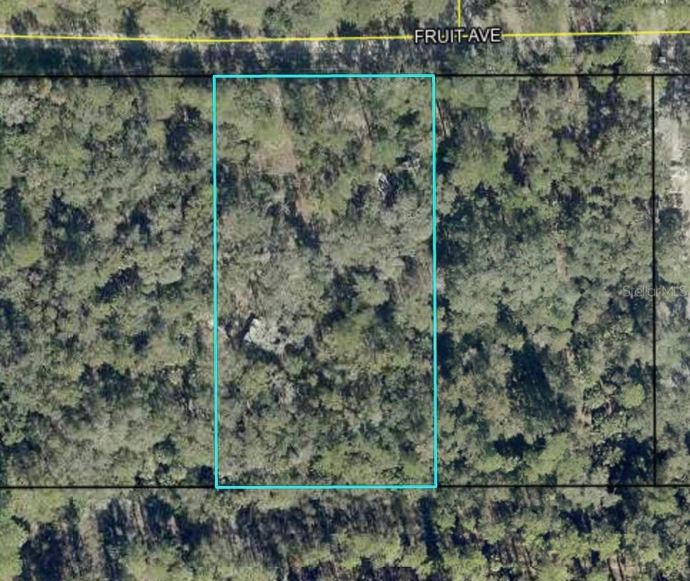 6549 Fruit Ave., Bunnell, FL 32110