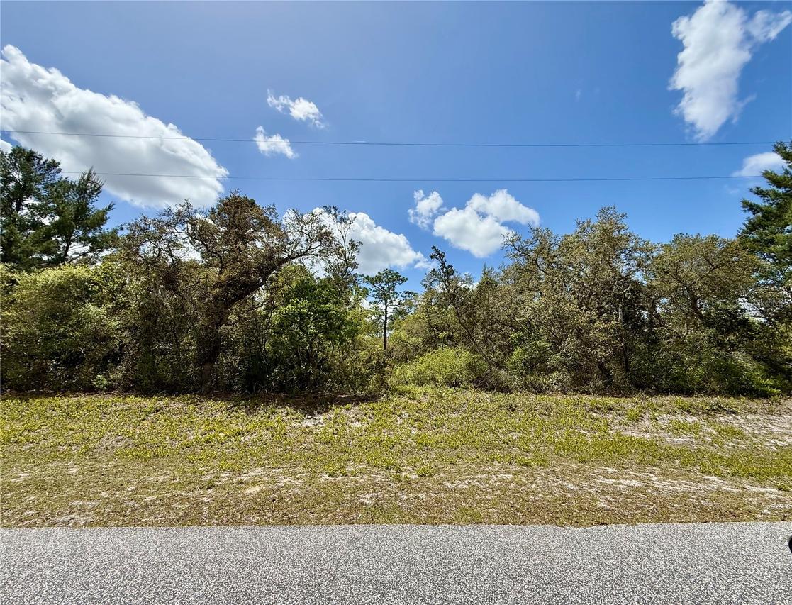 Thyme Ct., Eustis, FL 32736