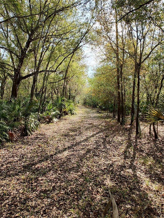 1991 NW Girl Scout Rd., Arcadia, FL 34266