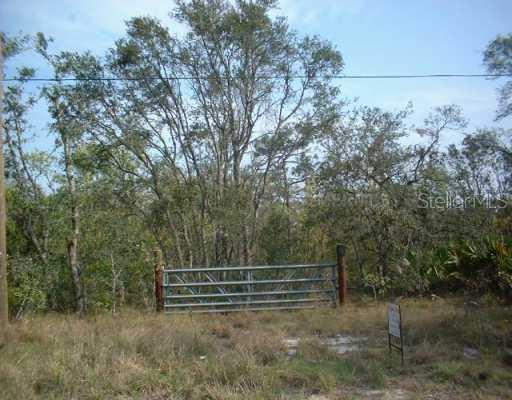 Deer Run Dr., Lake Wales, FL 33898