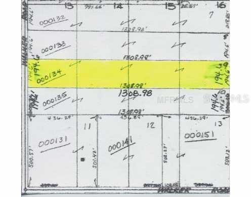 Tract 9 Walker Lake Rd., Alturas, FL 33820