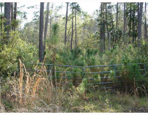 [Address Hidden by Seller], Lake Wales, FL 33898