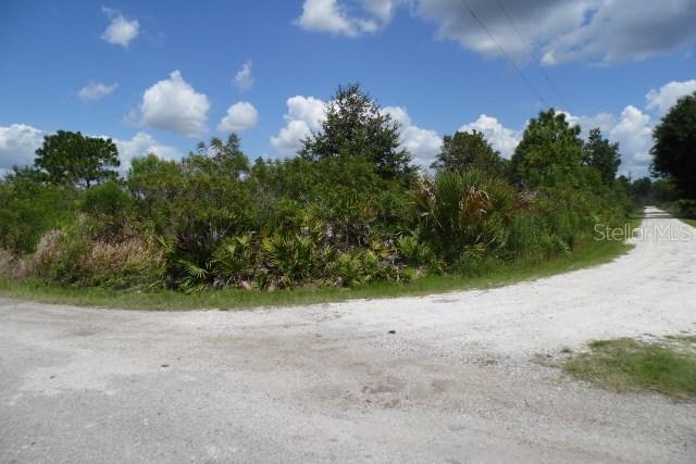 Schaeffer Ln., Lake Wales, FL 33898
