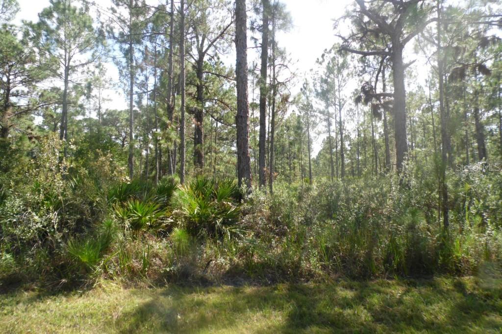 1020 Althea Dr., Indian Lake Estates, FL 33855