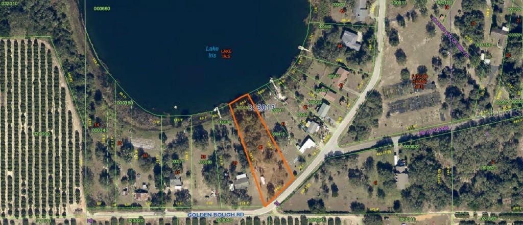 Golden Bough Rd., Lake Wales, FL 33898
