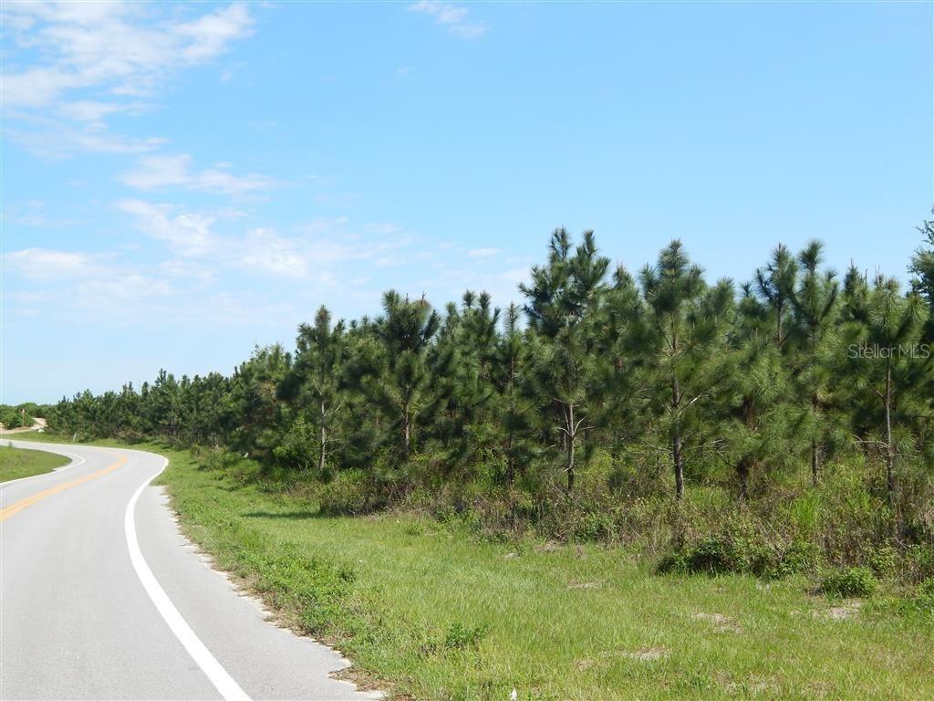 Rattlesnake Rd., Lake Wales, FL 33898