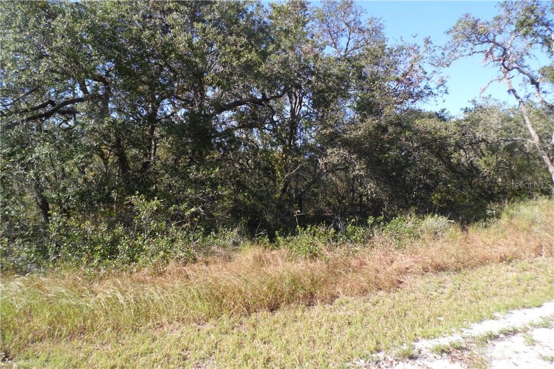 Lots 22 & 27 Tiger Creek Tr., Lake Wales, FL 33898