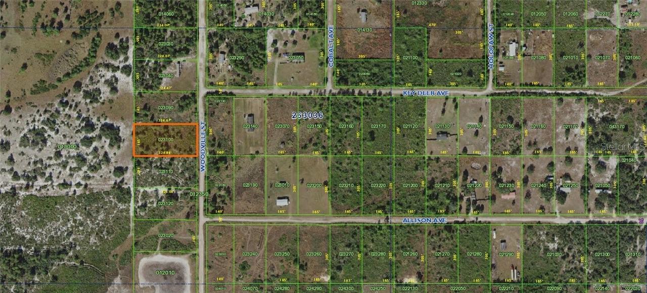 [Address Hidden by Seller], Lake Wales, FL 33898