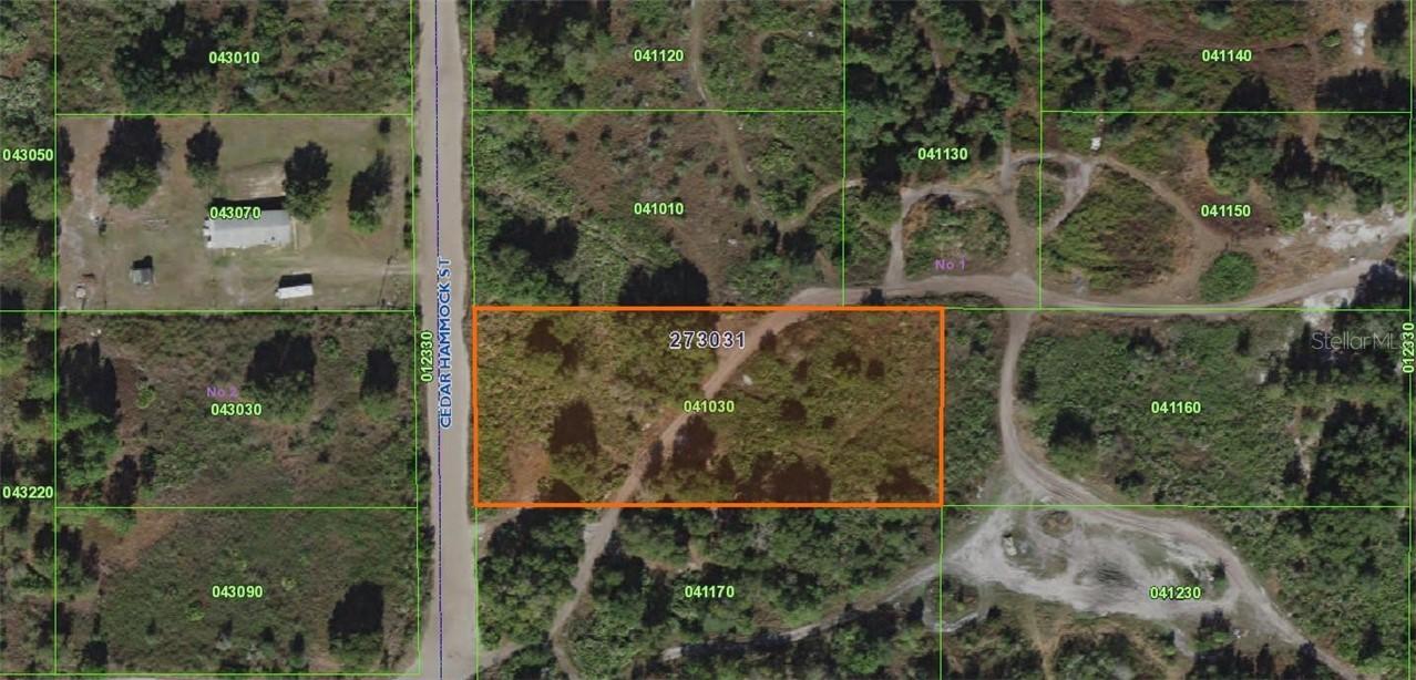 Cedar Hammock St., Lake Wales, FL 33859