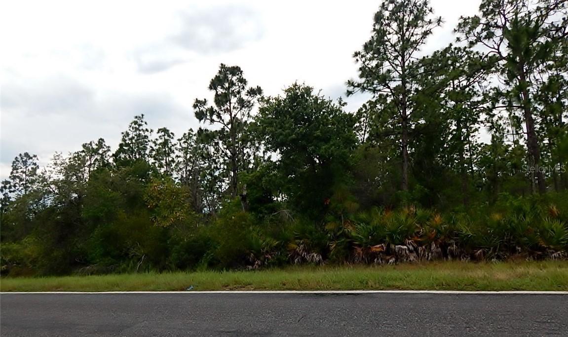 Tiger Lake Rd., Lake Wales, FL 33898