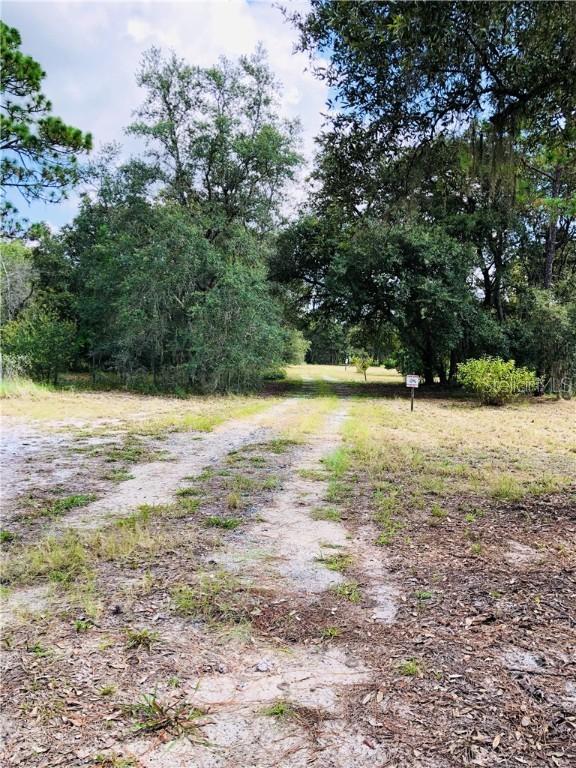 3120 Tiger Creek Forest, Lake Wales, FL 33853