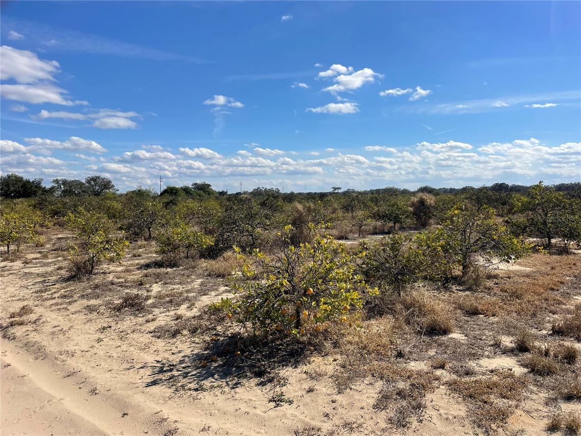 Lawrence Stewart Rd., Frostproof, FL 33843