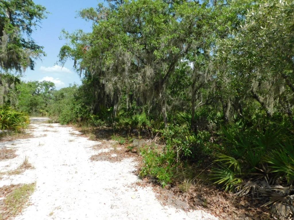 3201 Scrub Oak Ln., Lake Wales, FL 33898