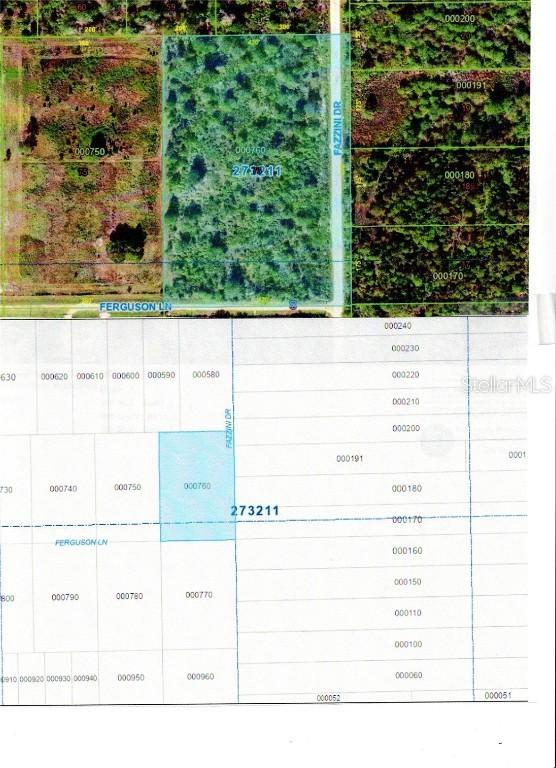 Fazzini Dr., Frostproof, FL 33843