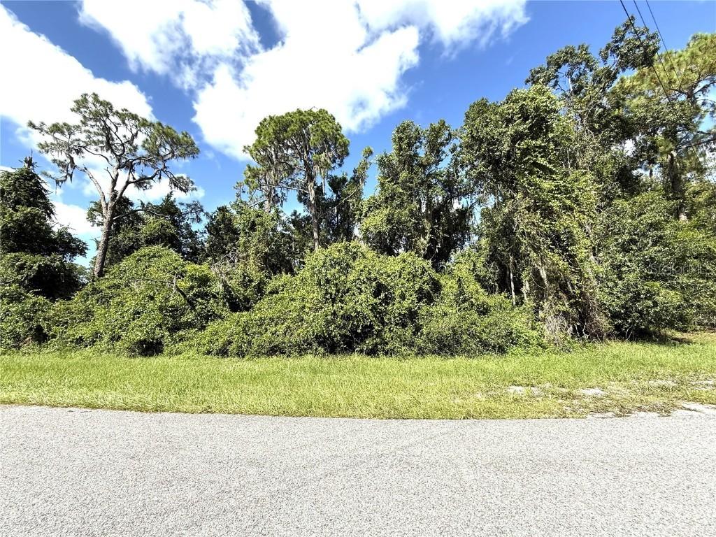 Deer Run, Frostproof, FL 33843