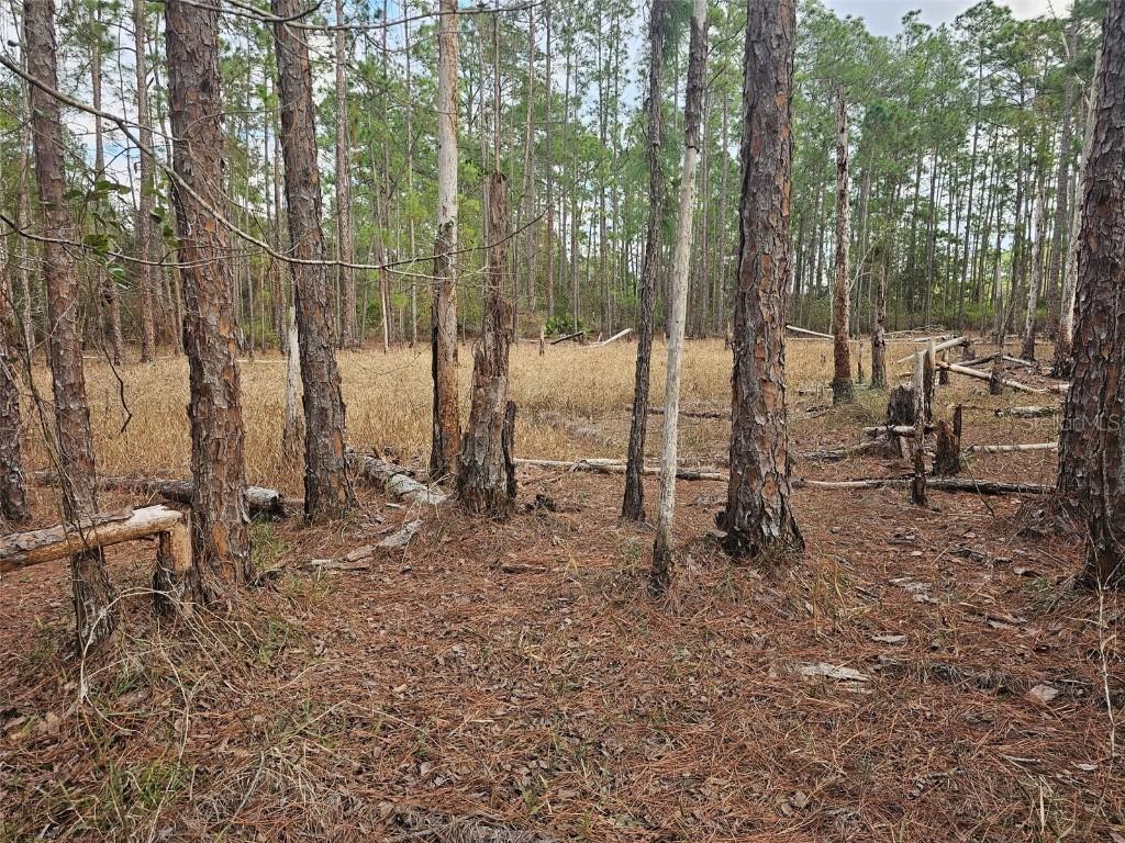 Chinaberry St., Eustis, FL 32736