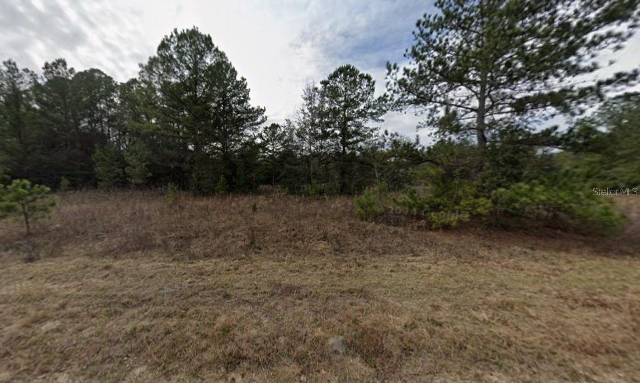 Mullins Ave., Interlachen, FL 32148