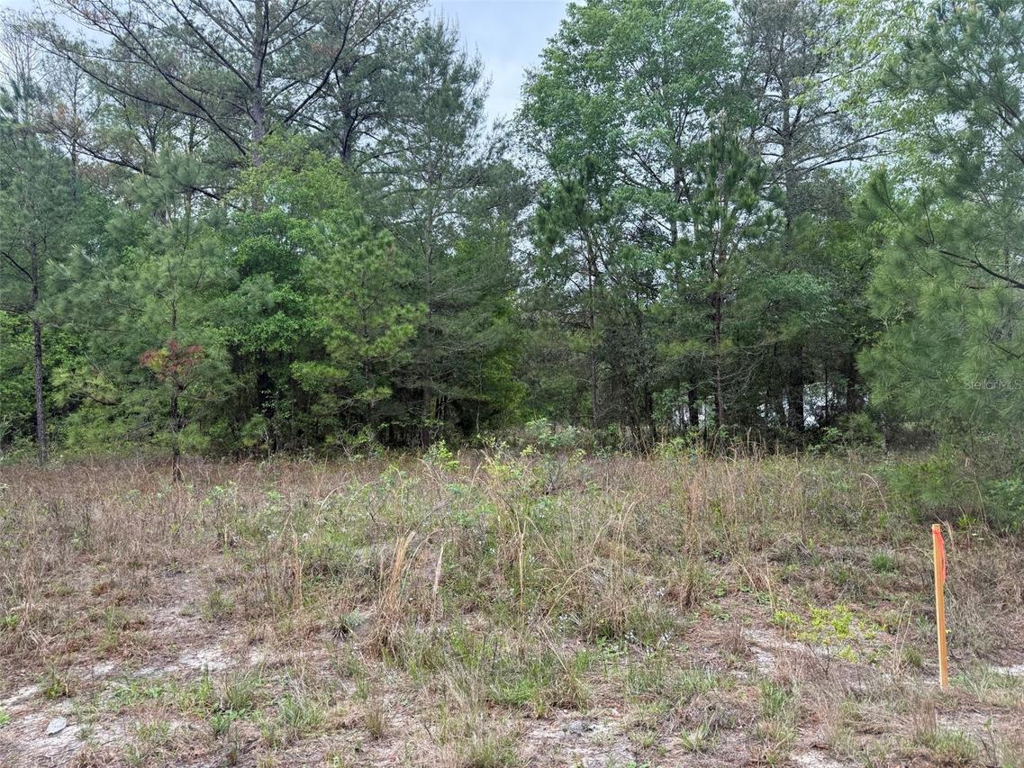 Maltas Ave., Interlachen, FL 32148