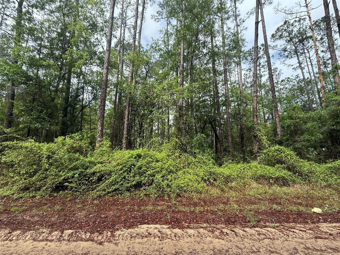 Seminole Ave., Interlachen, FL 32148