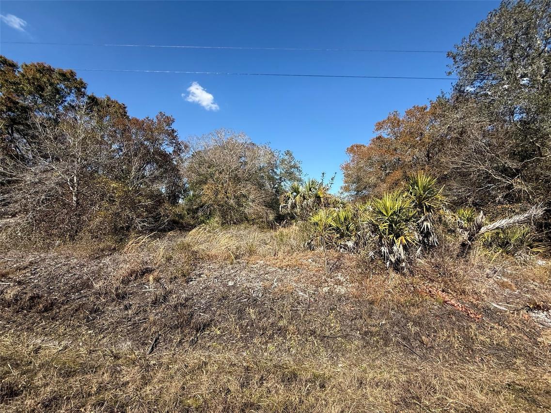 18075 NW 278th St., Okeechobee, FL 34972