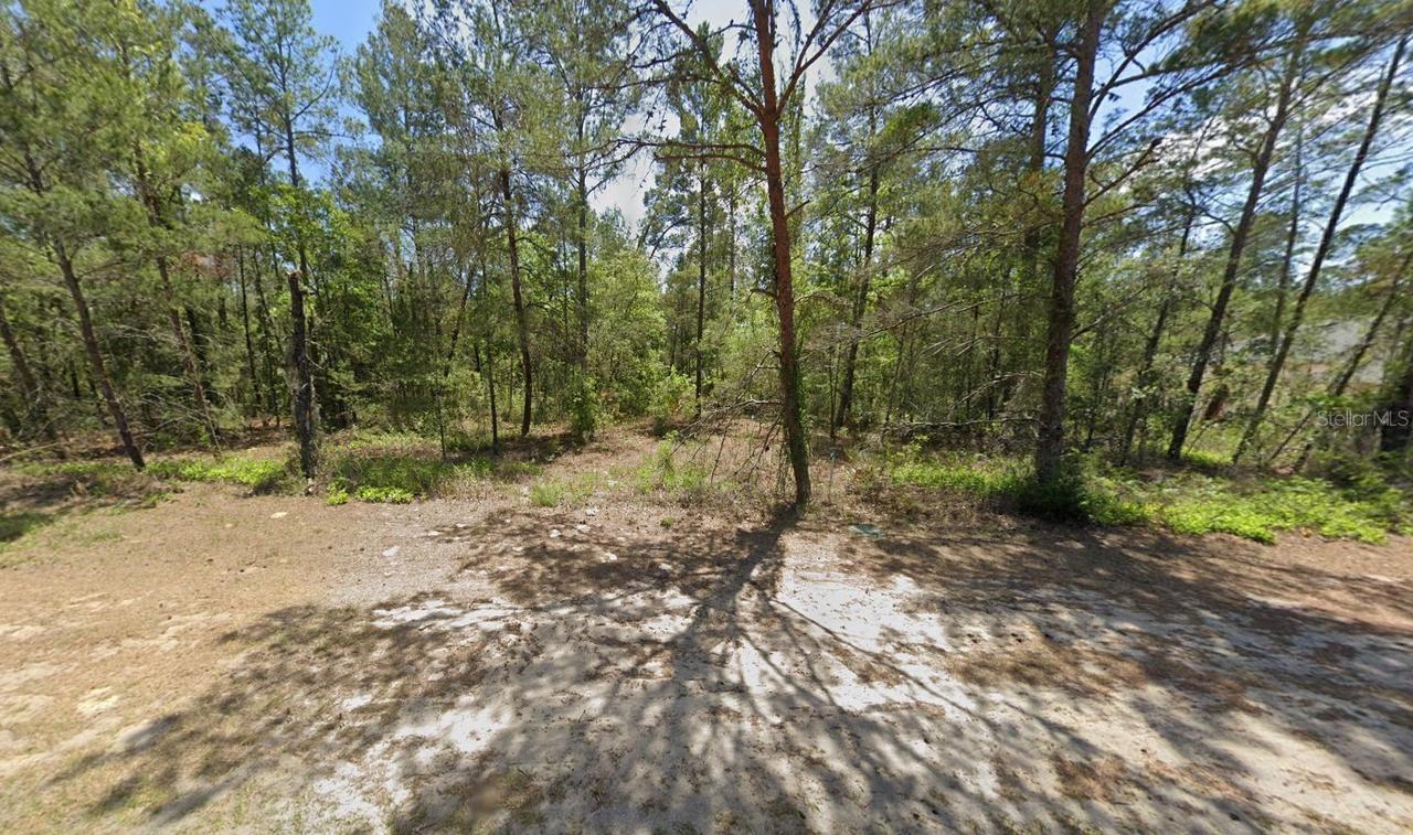6255 W Oak Park Blvd., Homosassa, FL 34446