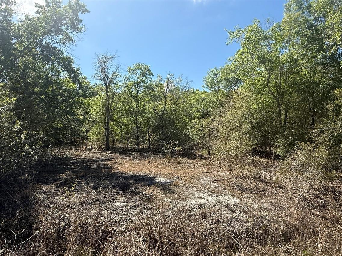 21668 NW 266th St., Okeechobee, FL 34972