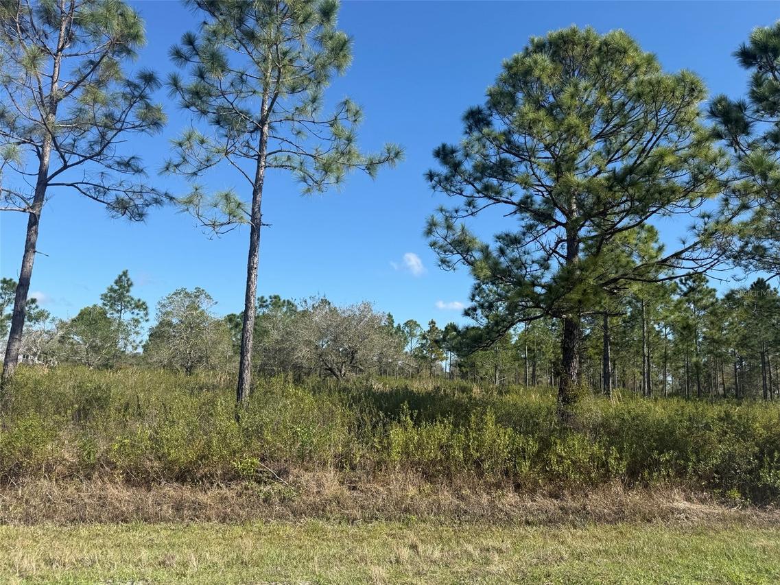 15942 NW 312th St., Okeechobee, FL 34972