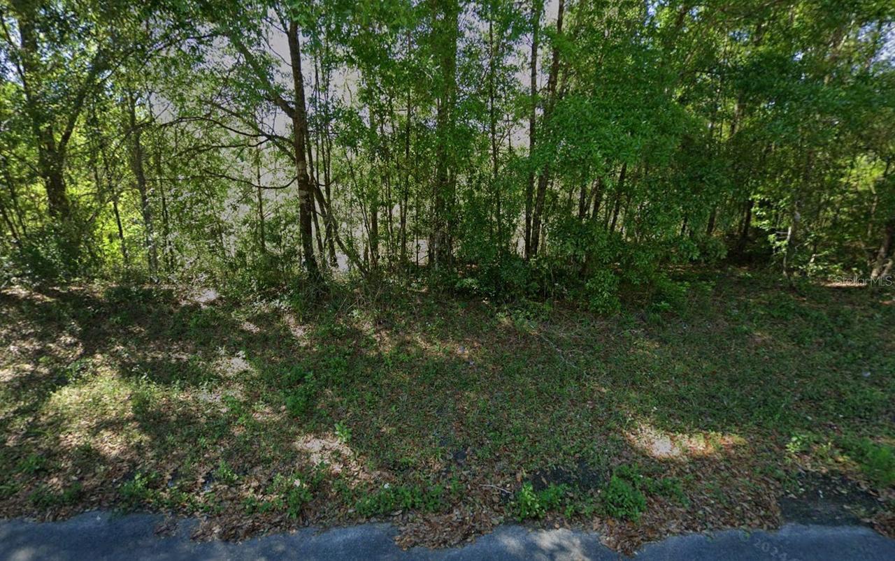 212 Dolphin Cir., Middleburg, FL 32068