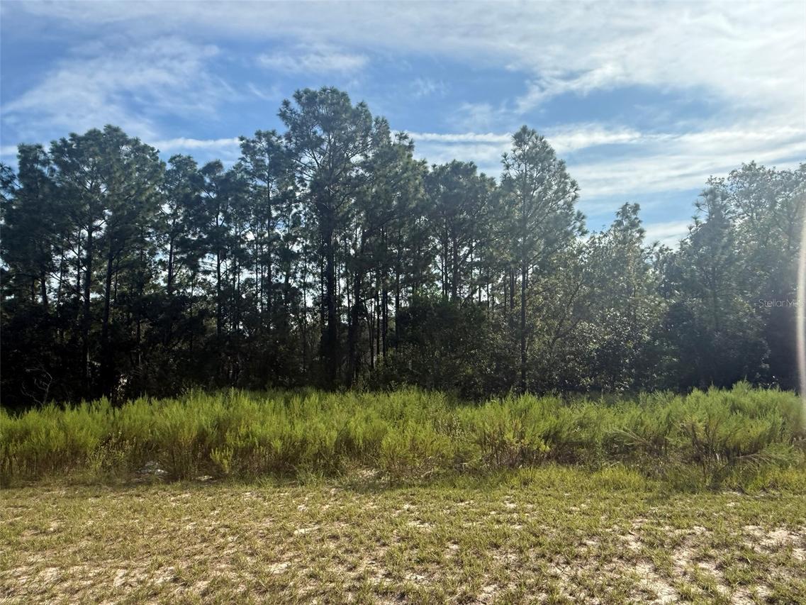TBD SW 135th Street Rd., Ocala, FL 34473