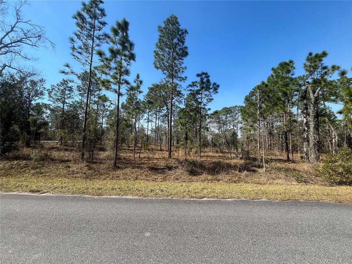 TBD NW Water Oak Ave., Dunnellon, FL 34431