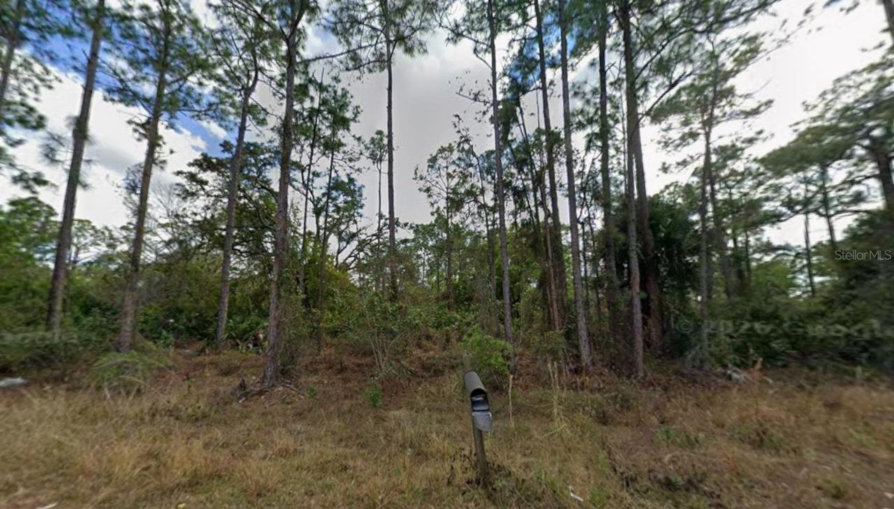 1210 Raphia St., Lehigh Acres, FL 33974