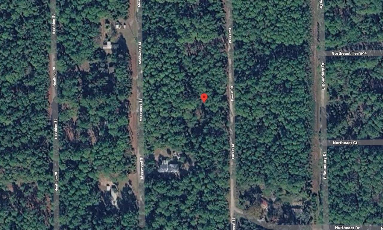 143 E Forest St., Georgetown, FL 32139