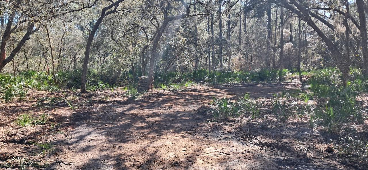 119 Gardenia Ave., Georgetown, FL 32139