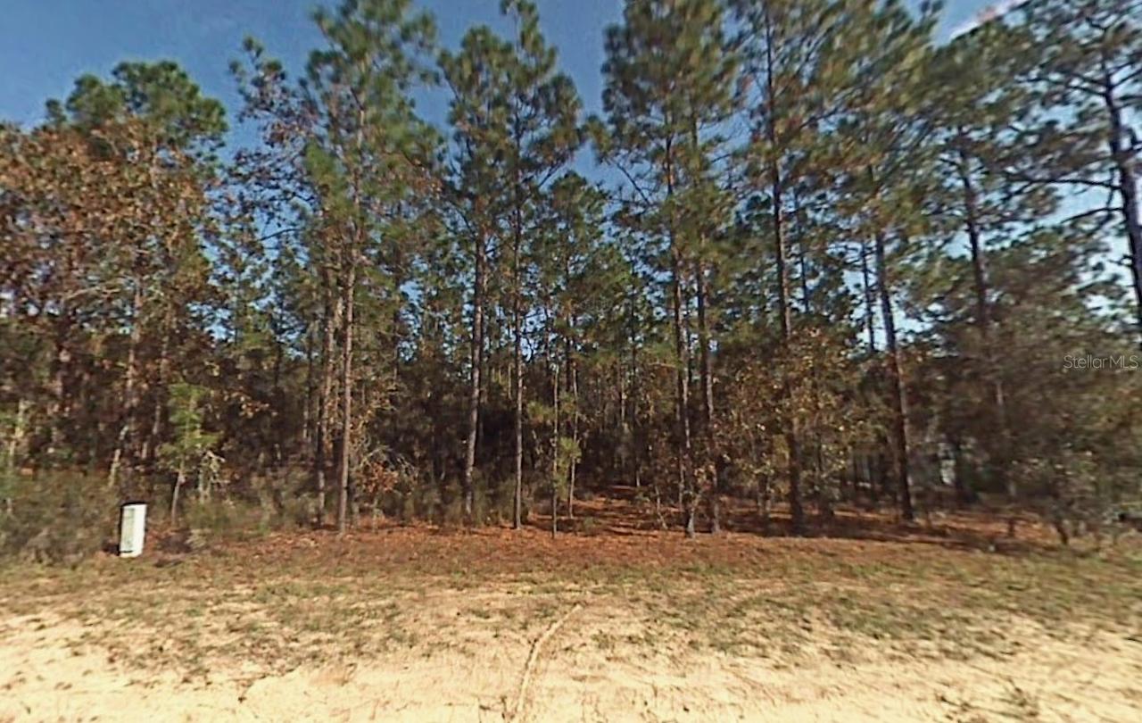 Lot 5 SW 166th Court Rd., Dunnellon, FL 34432