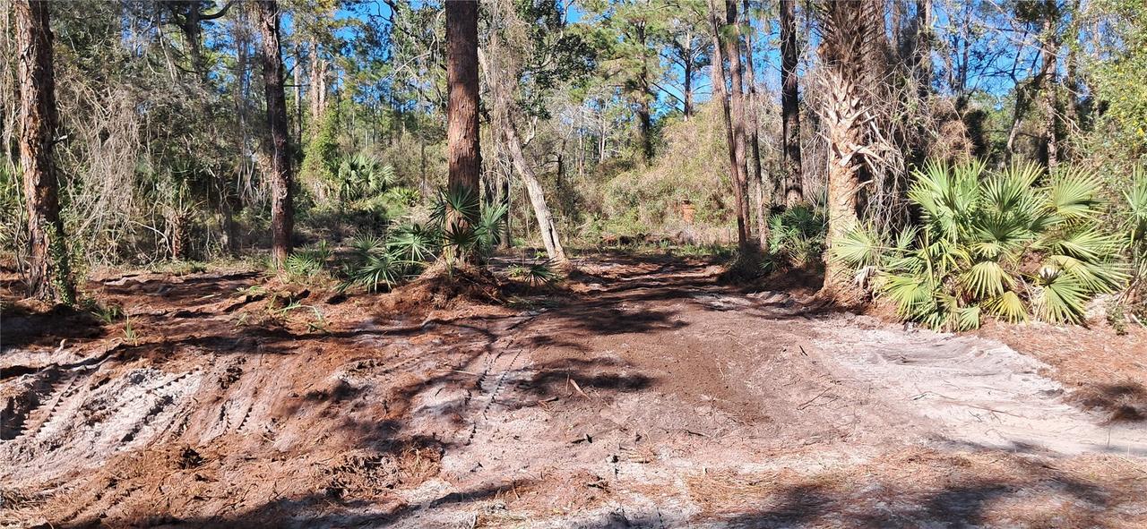 120 Gardenia Ave., Georgetown, FL 32139