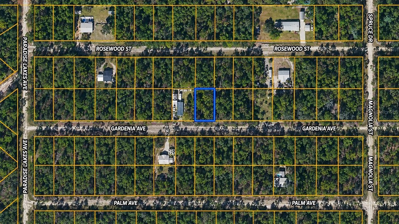120 Gardenia Ave., Georgetown, FL 32139